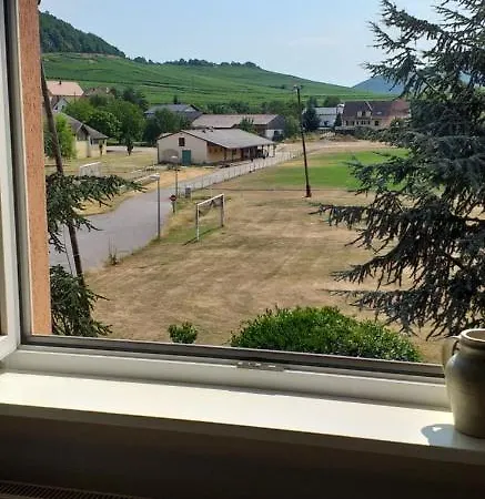 Dans Vignoble Alsacien