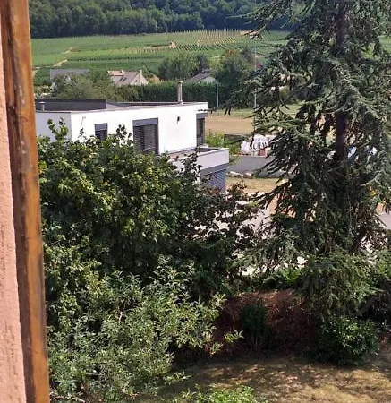 Apartment Dans Vignoble Alsacien Westhalten