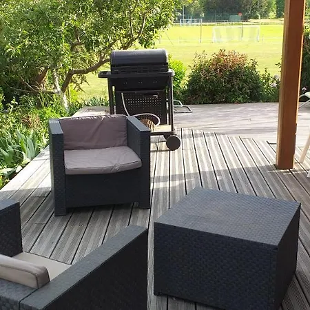 Dans Vignoble Alsacien