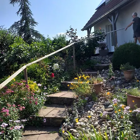 Dans Vignoble Alsacien * Westhalten