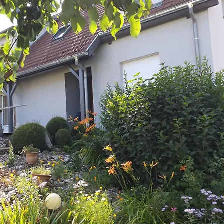 Dans Vignoble Alsacien *