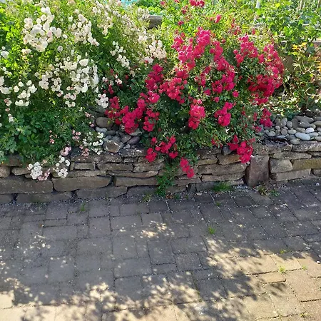 Apartment Dans Vignoble Alsacien *